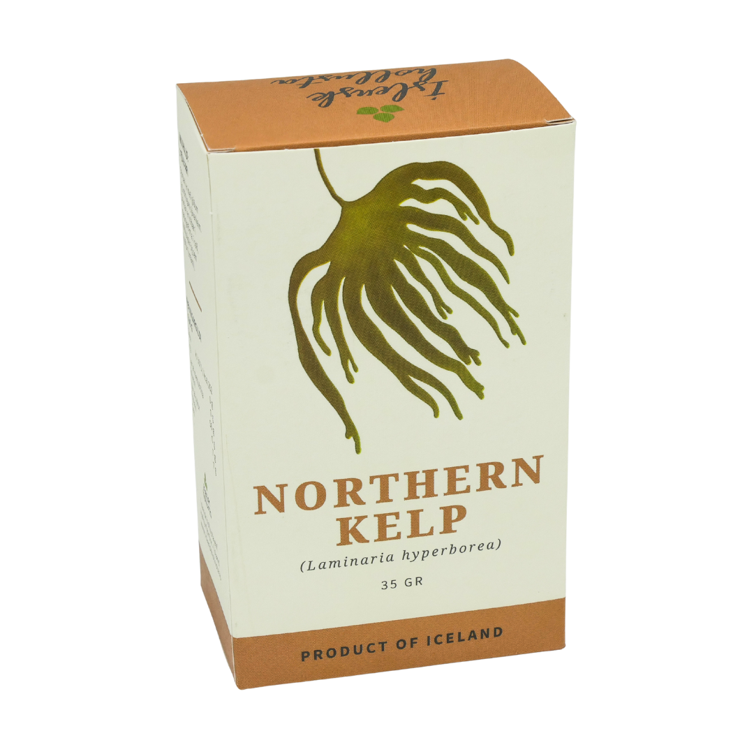 Northern Kelp