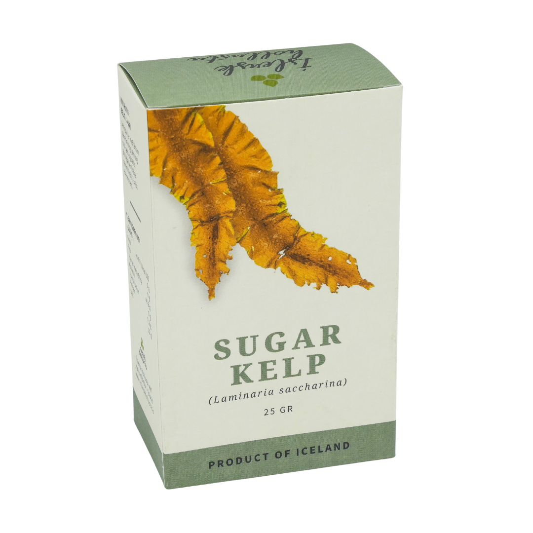 Sugar kelp