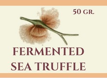 Load image into Gallery viewer, Sea Truffle / Þangskegg