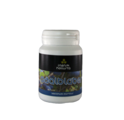 Bilberry capsules