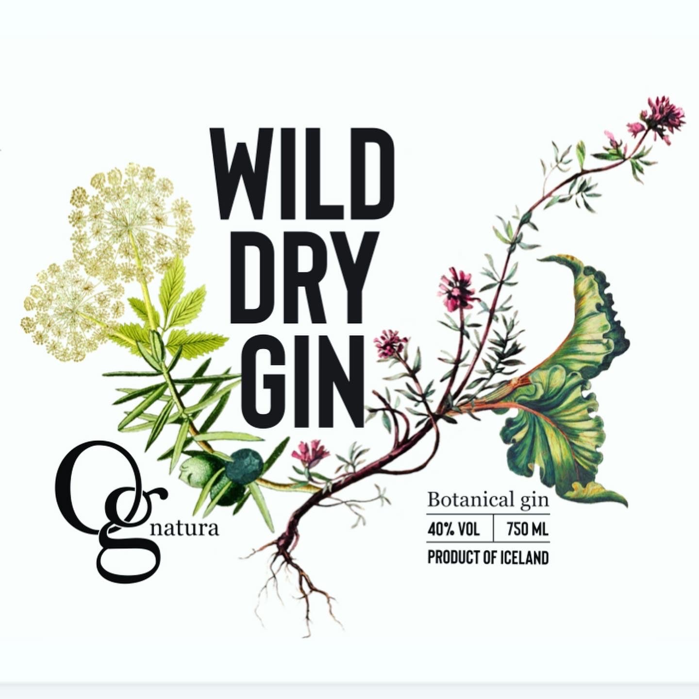 WILD DRY GIN